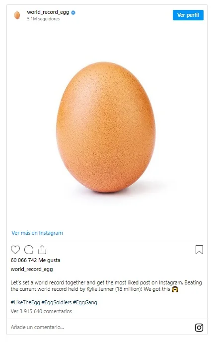 world-record-egg
